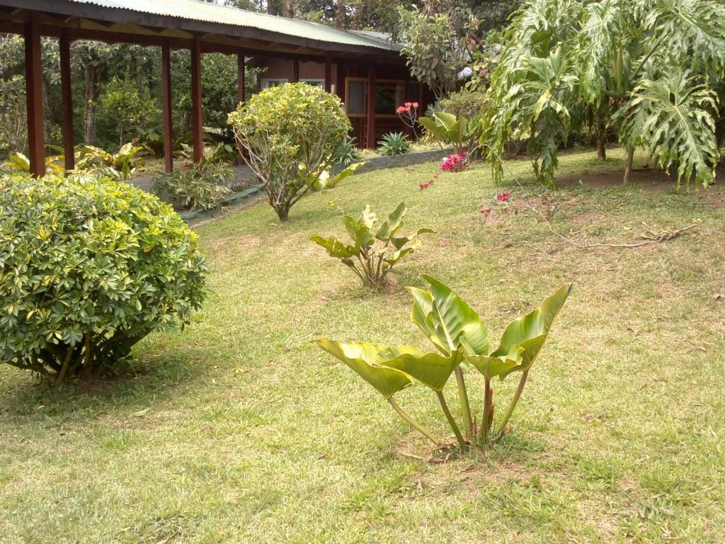 Hostel Villa Verde Monteverde Exterior foto